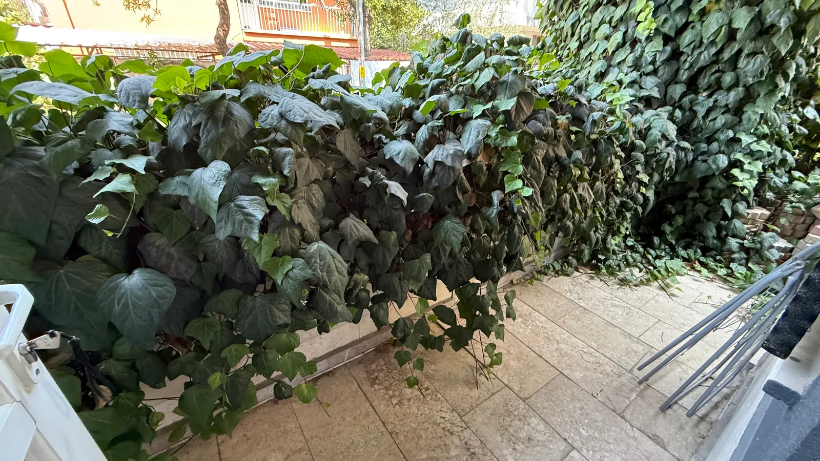 Kınıklı‘da 1 + 1 faturalar dahil aidatsız kiralık apart küçük 7